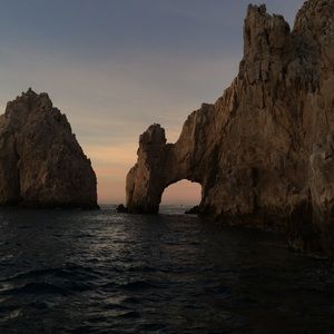 Meet your Posher, Belle